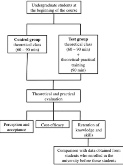 Figure 2. Study design and phases to be conducted.