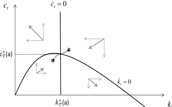 Figure 1. Phase Diagram for the Multiplicative Cobb-Douglas Case 