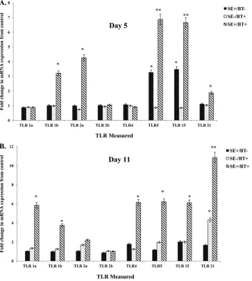 FIG 3 Effect of feeding BT peptide-supplemented ration on the expression of TLR mRNA (TLR1a, TLR1b, TLR2a, TLR2b, TLR4, TLR5, TLR15, TLR21) in thesigniﬁcantly different at eitherceca from experimental chickens with or without infection with S