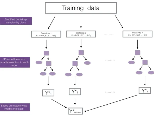Figure 3.3 Illustration of the PPforest algorithm.