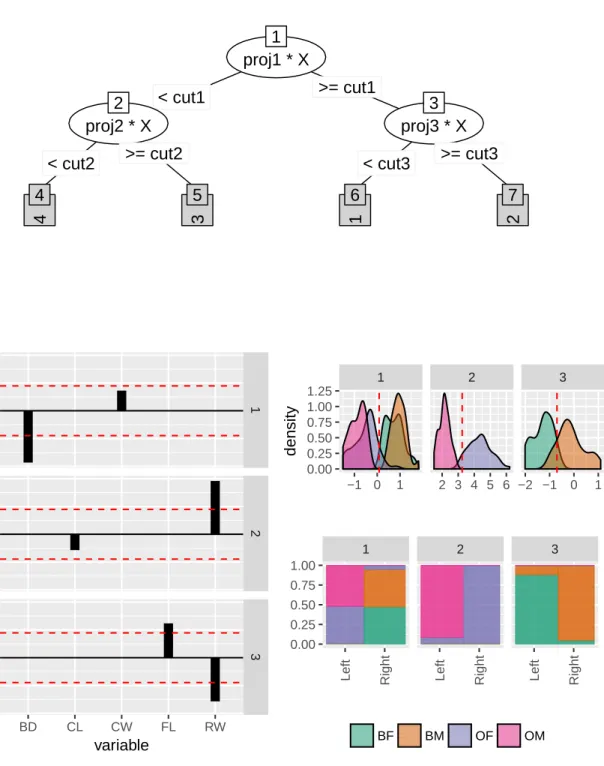 Figure 4.1 Visualizing the PPtree model of the crab data. The tree has three nodes (top)