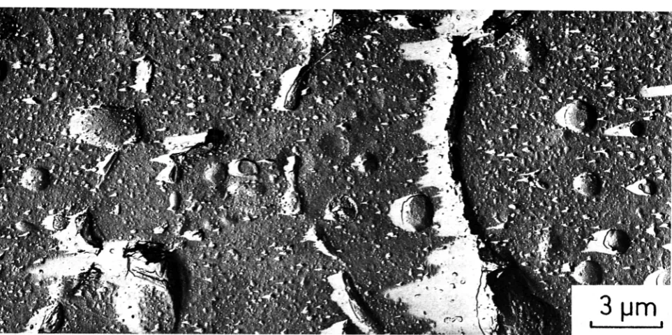 Fig. 1 - Replica electron micrograph of carbide fuel section after 11 % burn-up. The larger features stem from the initial porosity, the smaller ones represent fission gas bubbles in the size range 50 to 250 nm