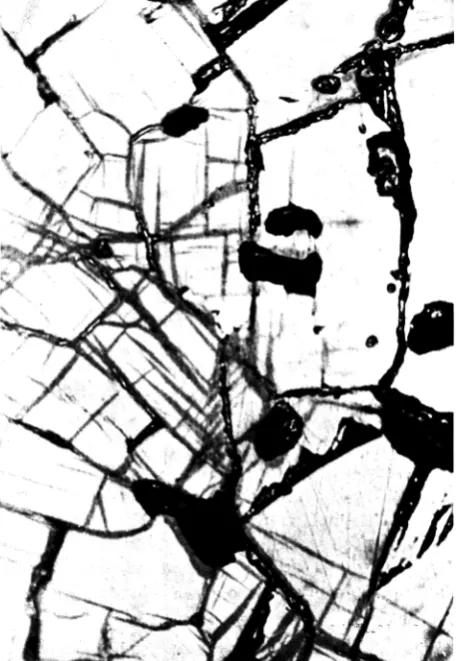 Fig. 6 - Oxidation in C02 of irradiated (UPu) C for 3 hours at 700 °C. Oxide growth occurs in pores, cracks and along specific crystallographic planes within the fuel