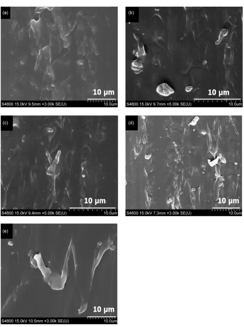 Figure 2. SEM micrographs of PUEs with β-CD. β-CD content: (a) PUE-PTMG-CDPUE-PTMG-CD0 = 0 wt%; (b) PUE-PTMG-CD1 = 1 wt%; (c) 2 = 2 wt%; (d) PUE-PTMG-CD3 = 3 wt%; (e) PUE-PTMG-CD5 = 5 wt%