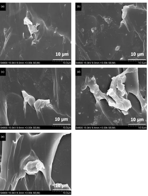 Figure 3. SEM micrographs of PUEs with β-CD. β-CD content: (a) PUE-PCL-CDPUE-PCL-CD0 = 0 wt%; (b) PUE-PCL-CD1 = 1 wt%; (c) 2 = 2 wt%; (d) PUE-PCL-CD3 = 3 wt%; (e) PUE-PCL-CD5 = 5 wt%