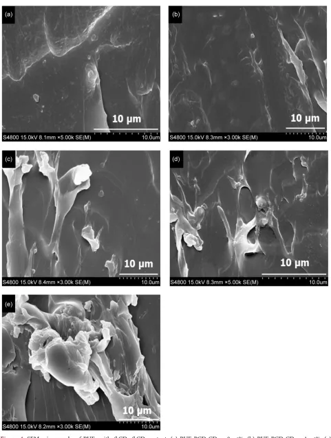 Figure 4. SEM micrographs of PUEs with β-CD. β-CD content: (a) PUE-PCD-CDPUE-PCD-CD0 = 0 wt%; (b) PUE-PCD-CD1 = 1 wt%; (c) 2 = 2 wt%; (d) PUE-PCD-CD3 = 3 wt%; (e) PUE-PCD-CD5 = 5 wt%