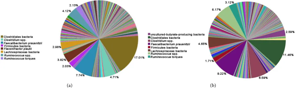 Figure 6. Distribution of bacteria identified based on 16S ribosomal DNA sequence analysis from caeca of chicks that had been challenged Campylobacter jejuni and administered a probiotic