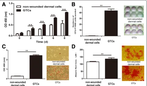 Figure 2 Stemness-related properties of granulation tissue-derived cells. Passage 2 granulation tissue-derived cells (GTCs) or nonwounded dermal cells wereused for experiments