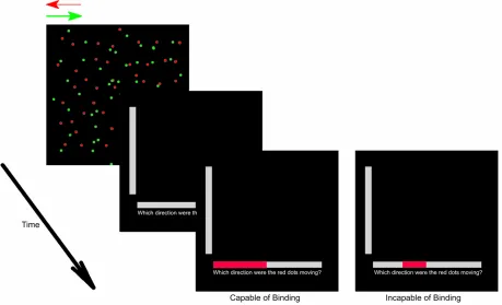 Figure 1. Schematic diagram depicting the study task. The examples shown here are the stimuli consisting of red and green dots moving horizontally for a specific duration