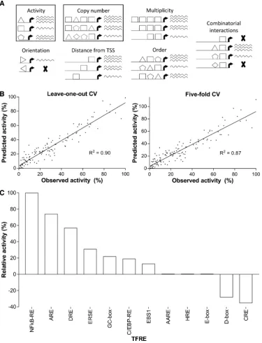 Figure 3. The function of modular transcription factor regulatory element (TFRE)-blocks in heterotypic promoter architectures is independent of bindingheterotypic promoters was determined by analyzing the model coefficients