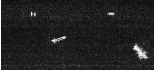 Figure 3. SAR image generated by using the GAN. One generated virtual target is at the top rightcorner.