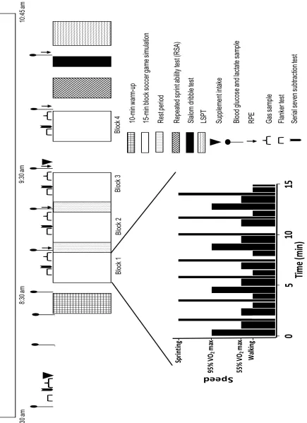 Figure 1. Experimental protocol 