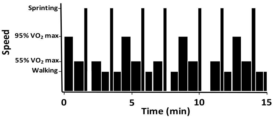 Figure 2. Exercise Intensity profile of each running block. 