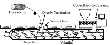 Figure 1. Schematic of direct fiber feeding injection process 