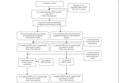 Fig. 1 Flow chart of recruitment and participation in this study