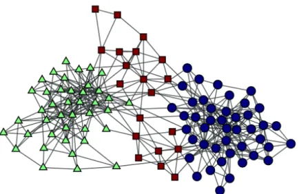 Figure 1.2: Community structure in a political books network