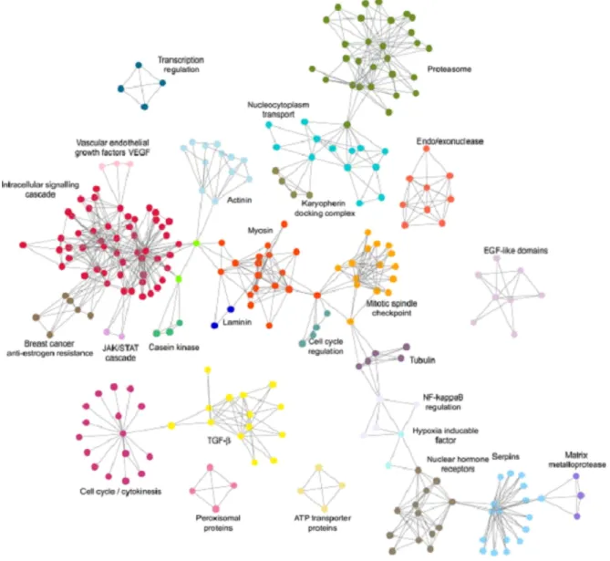 Figure 1.3: Community structure in PPI networks. The graph shows the interactions between proteins in cancerous cells of a rat.