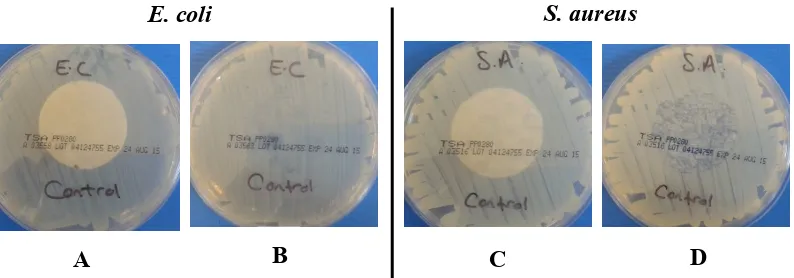 Figure 1.; C = no inhibition zone andD = no inhibition zone;C) and following (A,D BA,B)  = heavy growth under sample andS