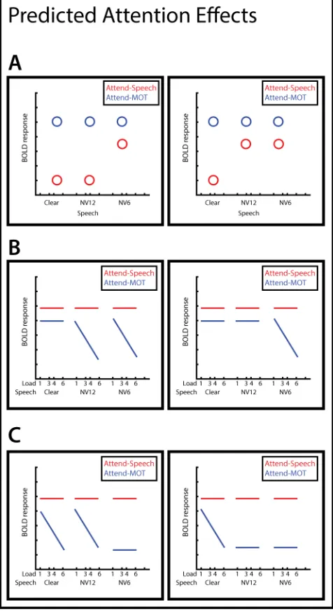 Figure 1. Predicted Attention Effects. We predicted that in different regions, activity evoked by different speech types would depend differentially on attention