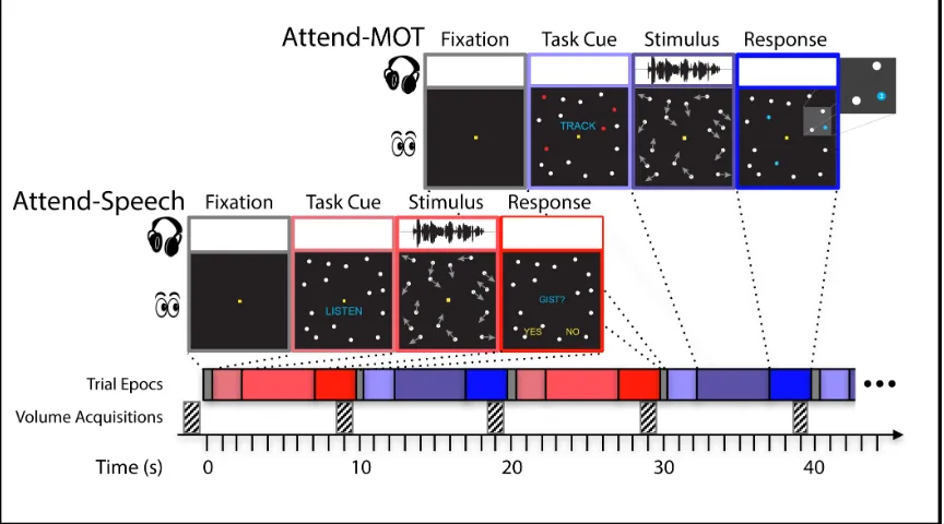 Figure 2. Trial Timecourse. On each trial, participants were first cued to either perform a tracking task (top, in blue), or attend to speech (bottom, in red), they then both heard speech and saw moving dots, and finally, a whole-brain acquisition was coll