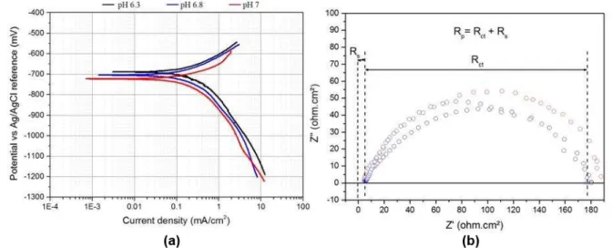 Figure 2. (a) Tafel plots and (b) EIS Nyquist plots showing the solution resistance (R s ) and  the charge-transfer resistance (R ct ) for X65 carbon steel conducted in a CO 2 -saturated 3.5 