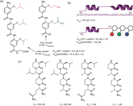 Fig. 9Helix mimetics as inhibitors of the HIF-1approach for HIF-1comparable ahelix mimetics of HIF-1a/p300 interaction (a) aromatic oligoamide helix mimetics of helix 1 and 2 (b) “bionic” proteina/p300 interaction whereby a segment of HIF-1a is replaced with an aromatic oligoamide helix mimetic leading toﬃnity to the peptide sequence and superior selectivity to the aromatic oligoamide helix mimetic for the hybrid (c) oxopiperazinea helix 3.