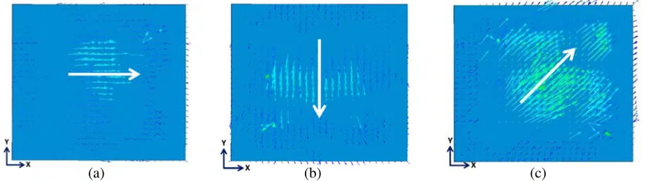 Figure 7. Electric ﬁeld orientation of antenna with diﬀerent input amplitude (a)(b) ax = 1, ay = 0, ax = 0, ay = 1, (c) ax = 1, ay = 1.