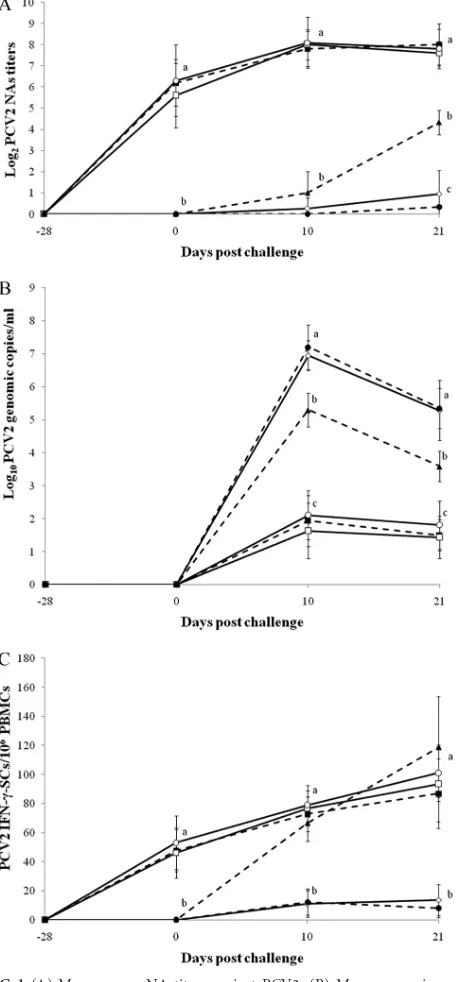 FIG 1 (A) Mean serum NA titers against PCV2. (B) Mean genomic copy