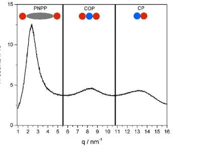 Figure 1: Small-angle X-ray scattering data for [C12mim][Tf2N] showing the three peaks (CP, COP and PNPP) commonly seen in nanostructured ILs