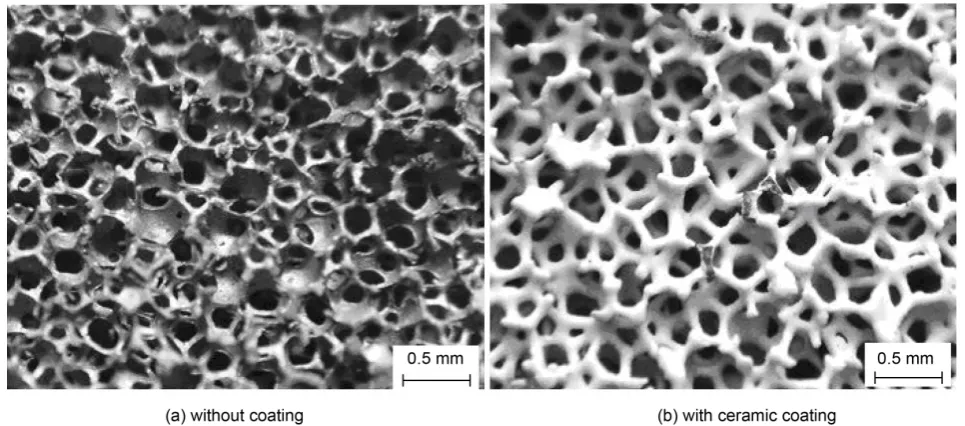 Figure 5. The surface of metal foam matrices. 
