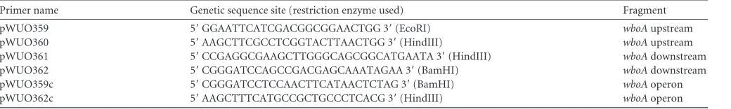 TABLE 1 Bacterial strains and plasmids