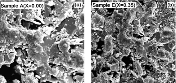 Figure 9. SEM micrograph for samples A and E. 