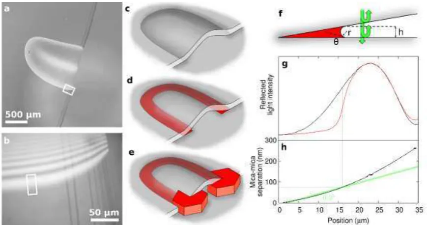 Figure 1. Experimental overview. (a) Optical micrograph of a pocket, and (b) a higher-magnification 