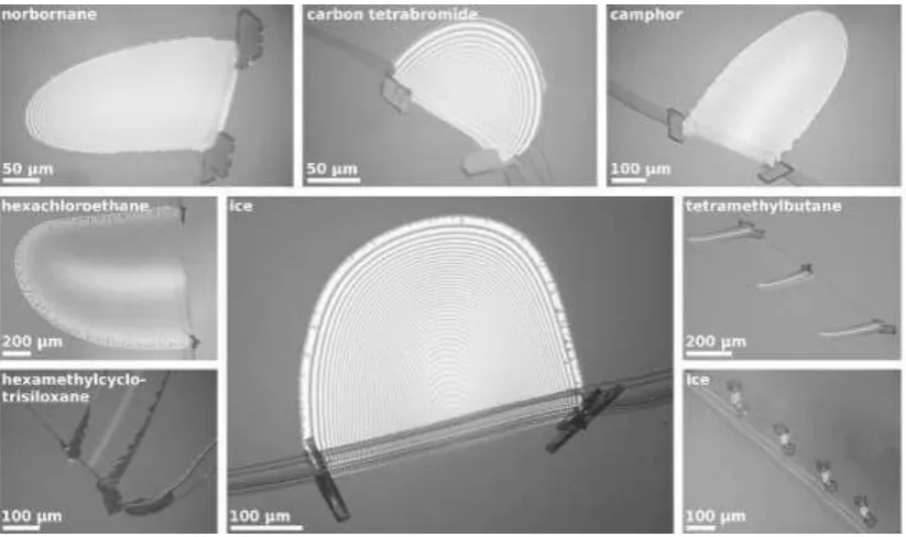 Figure 2. Optical micrographs showing crystals of various compounds crystallising from the two 