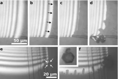 Figure 3. Optical micrographs showing crystal nucleation of norbornane (a-d, pocket opening at 