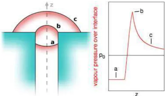 Figure 6. (left) Illustration of how a phase confined in a pore emerges into a bulk phase