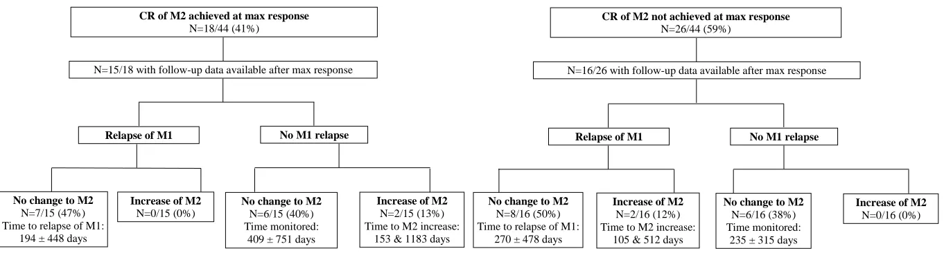 FIGURE 3. Flow diagram illustrating frequency of relapse amongst 44 BGMM patients after maximum response to anti-MM therapy