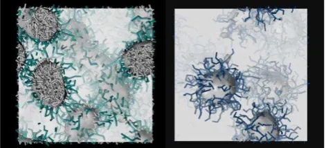 Figure 2.  Worm-like (left) and spherical (right) micelles predicted from simulation of G1 and G2, respectively, in solution