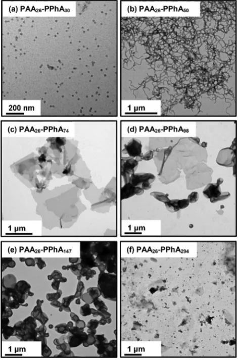 Fig. 5PAARAFT alcoholic dispersion polymerization of PhA at 70 °C: selected TEMimages showing the evolution in copolymer morphology to form (a)spheres, (b) worms, (c) lamellae, (d) a mixed phase of lamellae and vesi-26-PPhAx diblock copolymers prepared at 25% w/w solids bycles, (e) vesicles or (f) precipitate on increasing the PPhA target DP.