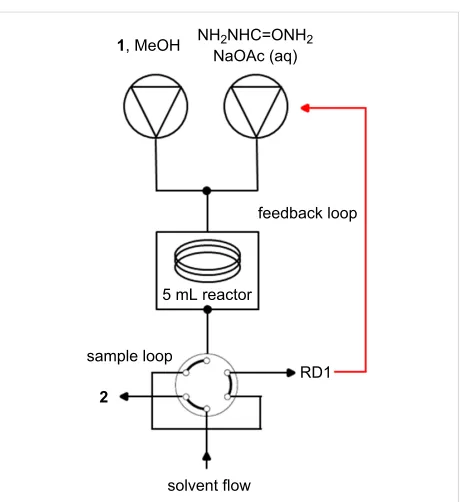 Table 1).Figure 3: Reactor set-up for carvone optimisation using RD1 as an