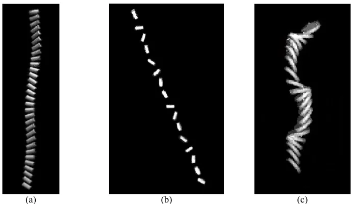Figure 2 (a) Regular oscillations of a 4.0×8.3 mm PTFE sinking cylinder, ReP = 406; (b) tumbling fall of a 6.0×1.6 mm brass disk, ReP = 226; (c) oscillatory settling of a 10.0×2.9 PTFE disk, ReP = 1362