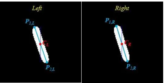 Figure 6  Detected centroid C and extreme points P1 and P2 on both sides of the stereo image of a cylindrical particle