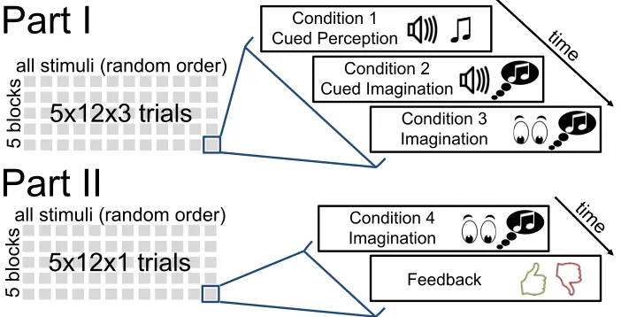 Figure 2.2: Illustration of the design for the EEG portion of the study.