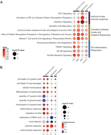 FIG 2 Functional analysis of DE genes following challenge 1. (A) Canonical pathway enrichment analysis of the DE genes in SIV-negative animals in the prime(B) Biofunction enrichment analysis of the same lists of DE genes as those described in panel A
