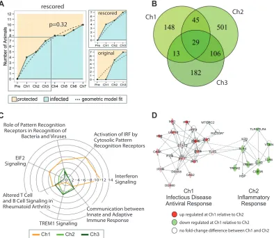 FIG 3 Distinct host responses after each challenge in protected animals. (A) Challenge history and immunization for the prime-boost group