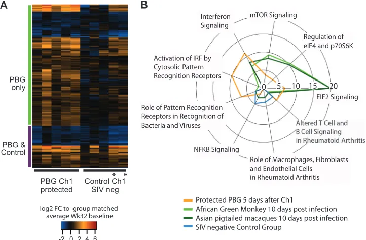 FIG 4 Heat map of 235 DE genes in protected animals from the prime-boost group after the ﬁrst challenge