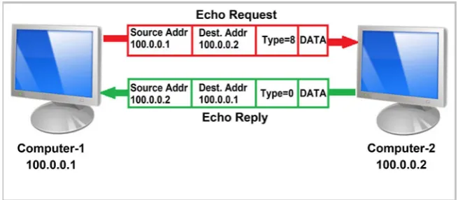 Figure 1. Ping Utility. 