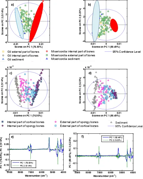 Figure 2. PLS scores and loadings graphs obtained after different spectra treatments. Score plots 