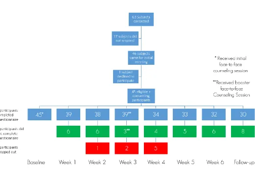 Figure 2: Flow of participants through the study. 