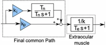 Figure 4. Visual target positions. 